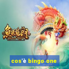 cos'è bingo one