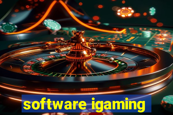 software igaming