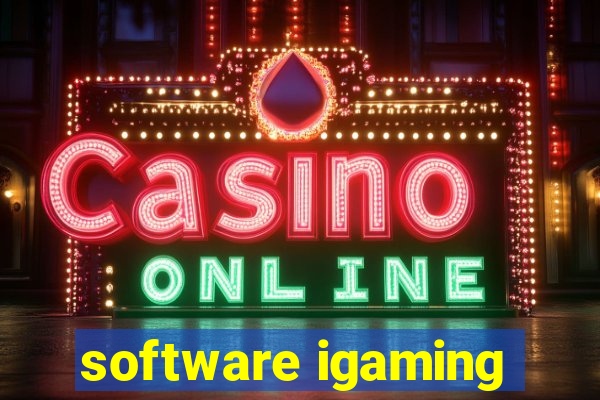 software igaming