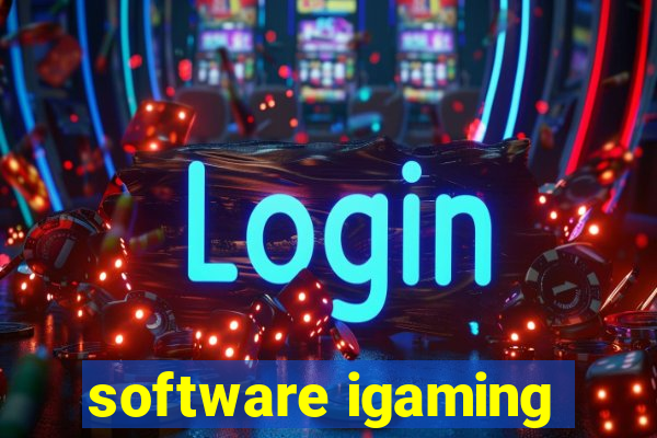 software igaming