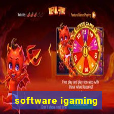 software igaming