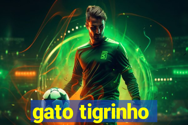 gato tigrinho