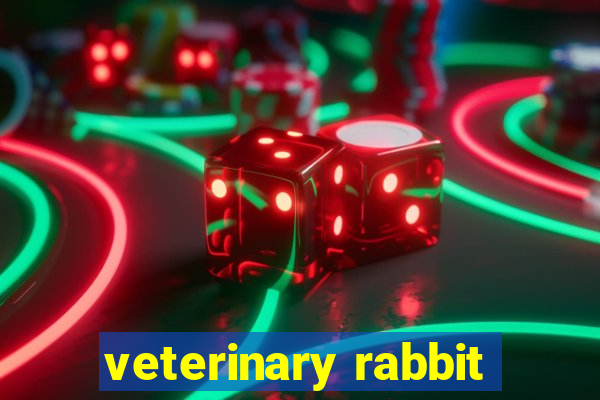 veterinary rabbit