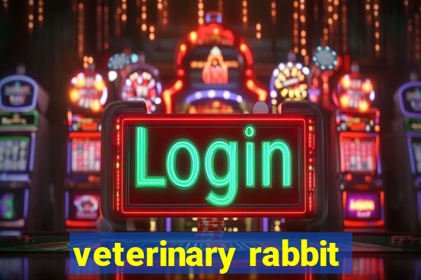 veterinary rabbit