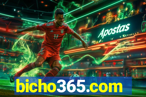 bicho365.com