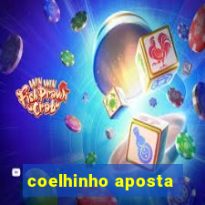 coelhinho aposta