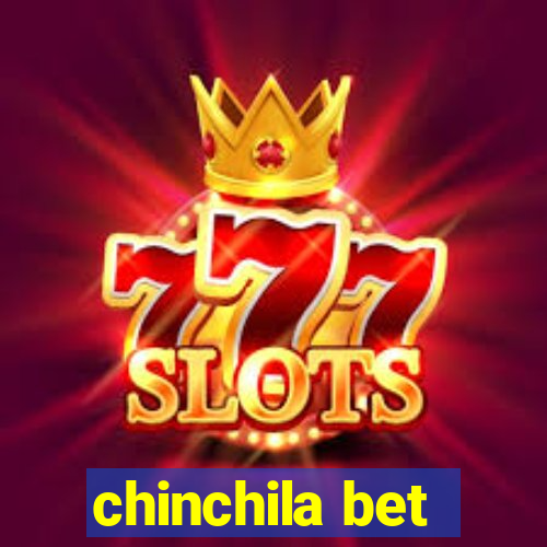 chinchila bet