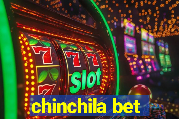 chinchila bet