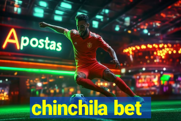 chinchila bet