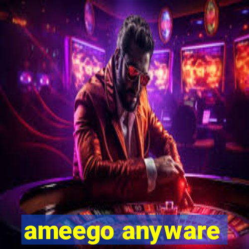 ameego anyware