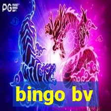 bingo bv