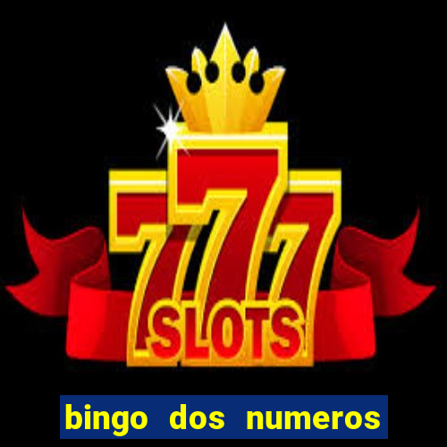 bingo dos numeros de 1 a 30