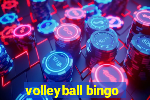 volleyball bingo