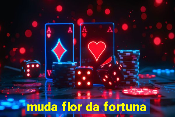 muda flor da fortuna