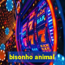 bisonho animal