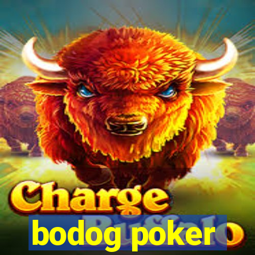 bodog poker