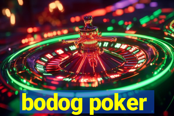 bodog poker