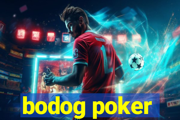 bodog poker