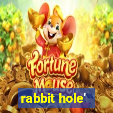 rabbit hole'