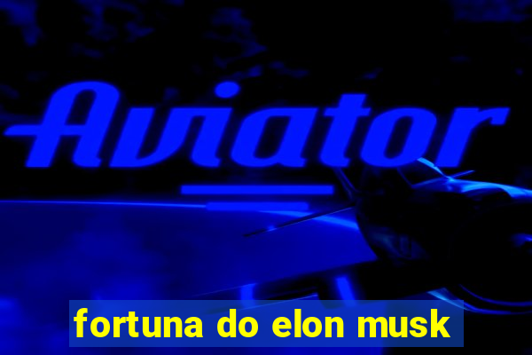 fortuna do elon musk