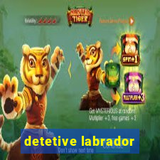 detetive labrador