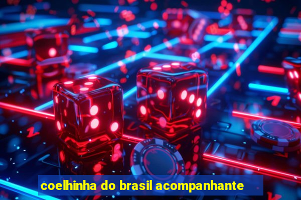 coelhinha do brasil acompanhante