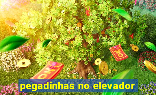 pegadinhas no elevador