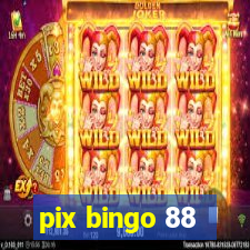 pix bingo 88