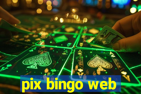 pix bingo web