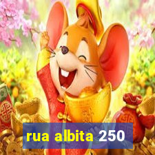 rua albita 250