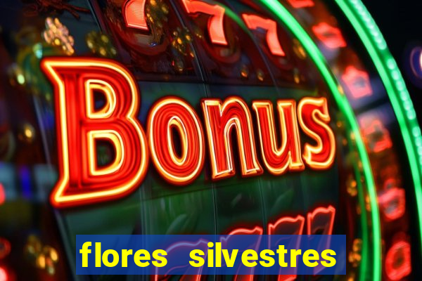 flores silvestres desbravadores desbravadores 25