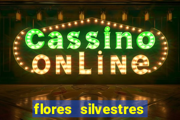 flores silvestres desbravadores desbravadores 25