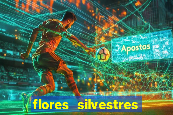 flores silvestres desbravadores desbravadores 25