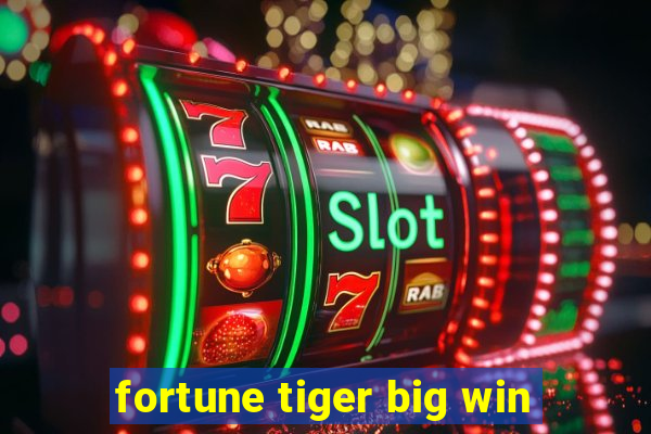 fortune tiger big win