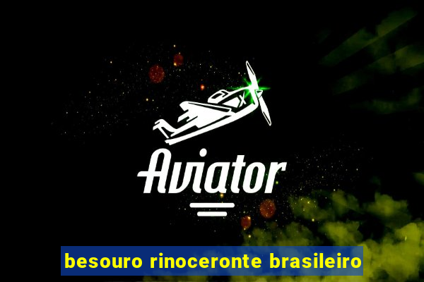 besouro rinoceronte brasileiro