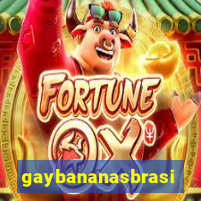 gaybananasbrasil