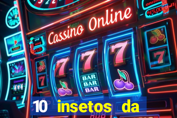 10 insetos da região sudeste