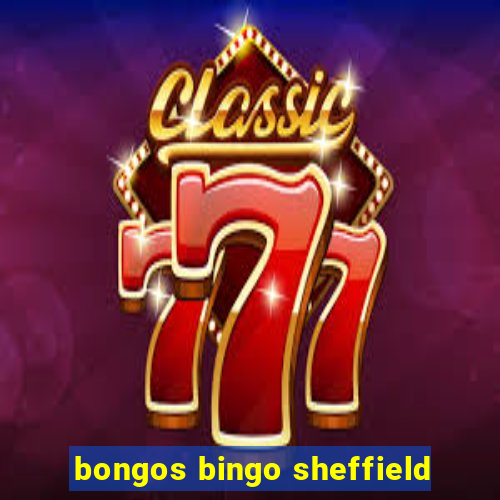 bongos bingo sheffield