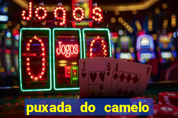 puxada do camelo no jogo do bicho