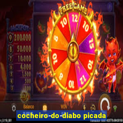 cocheiro-do-diabo picada