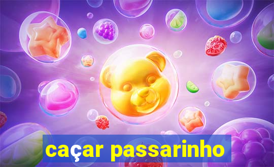 caçar passarinho