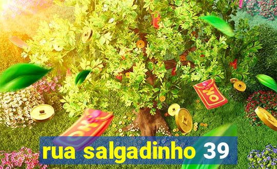 rua salgadinho 39