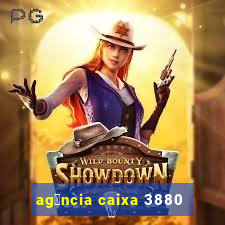 ag锚ncia caixa 3880