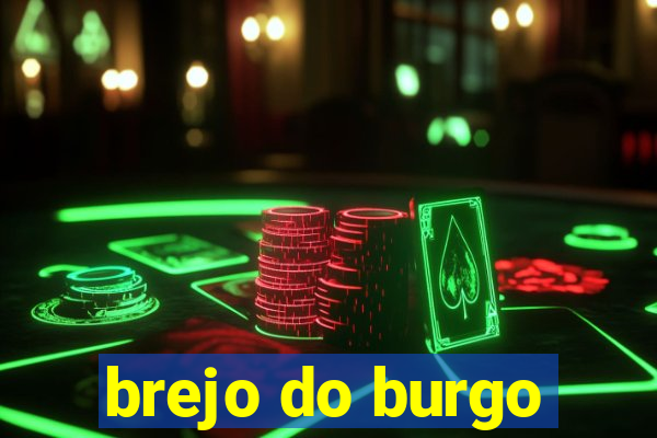 brejo do burgo