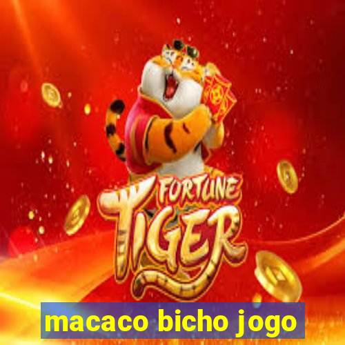 macaco bicho jogo