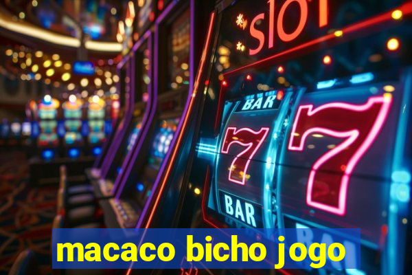 macaco bicho jogo