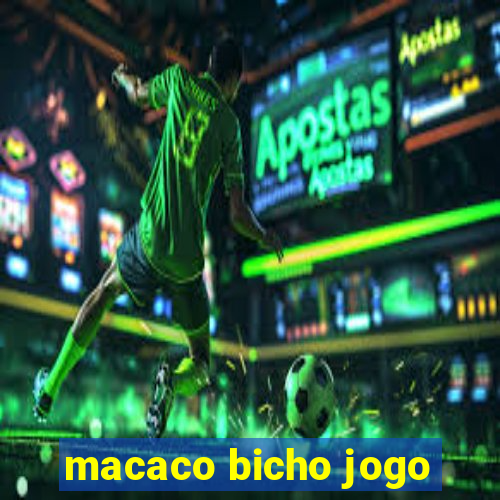 macaco bicho jogo