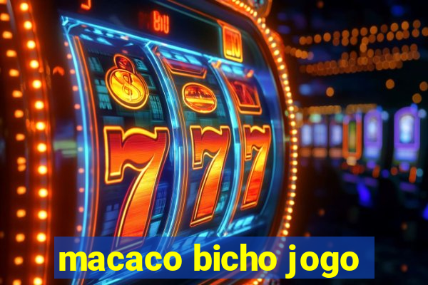 macaco bicho jogo