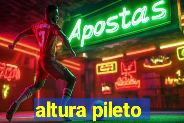 altura pileto