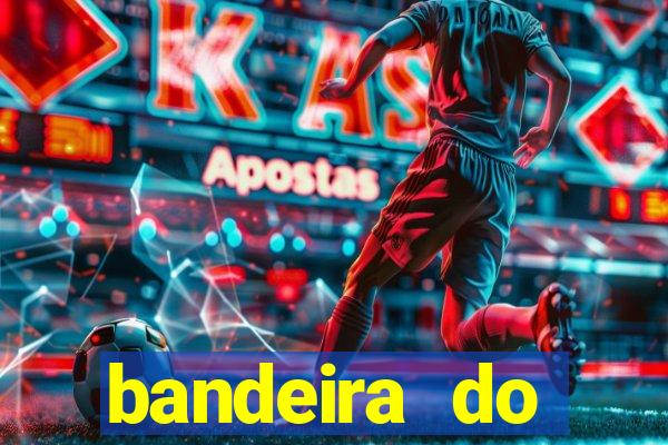 bandeira do flamengo para copiar